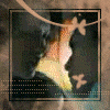 animated2.gif